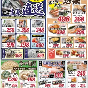 旬工房食品【Fresh News】のサムネイル