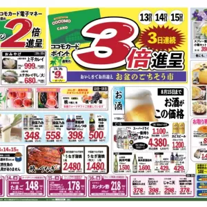 ココモ春日店【裏面】のサムネイル