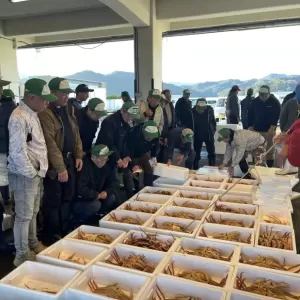 11月9日生魚入荷状況のサムネイル