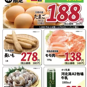 ココモ春日【WEBチラシ】のサムネイル