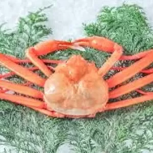 12月24日生魚入荷状況のサムネイル