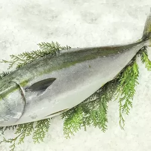 12月28日生魚入荷状況のサムネイル