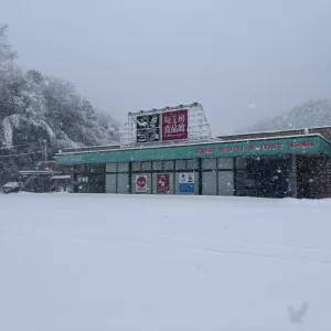 2月24日生魚入荷状況のサムネイル