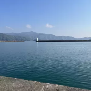 4月26日生魚入荷状況のサムネイル
