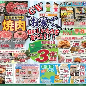 ココモ春日店（ゴールデンウィーク）のサムネイル