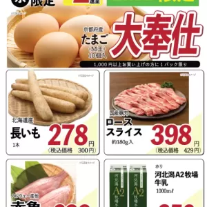 ココモ春日店（Webチラシ）のサムネイル