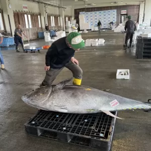 5月15日生魚入荷状況のサムネイル