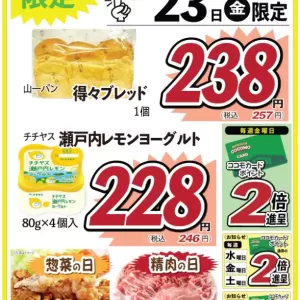 ココモ春日店（Webチラシ）のサムネイル