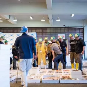 6月28日生魚入荷状況のサムネイル