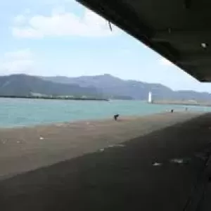 7月5日生魚入荷状況のサムネイル
