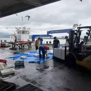 7月12日生魚入荷状況のサムネイル