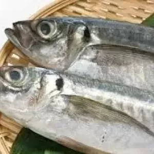 7月14日生魚入荷状況のサムネイル