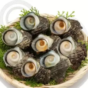 7月15日生魚入荷状況のサムネイル