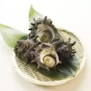 7月23日生魚入荷状況②のサムネイル