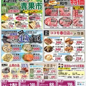 ココモ春日店（裏面）のサムネイル